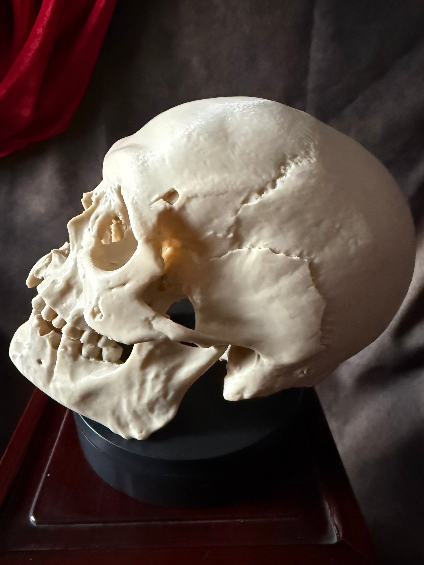 Battle-Damaged Human Skull Replica – Full Scale