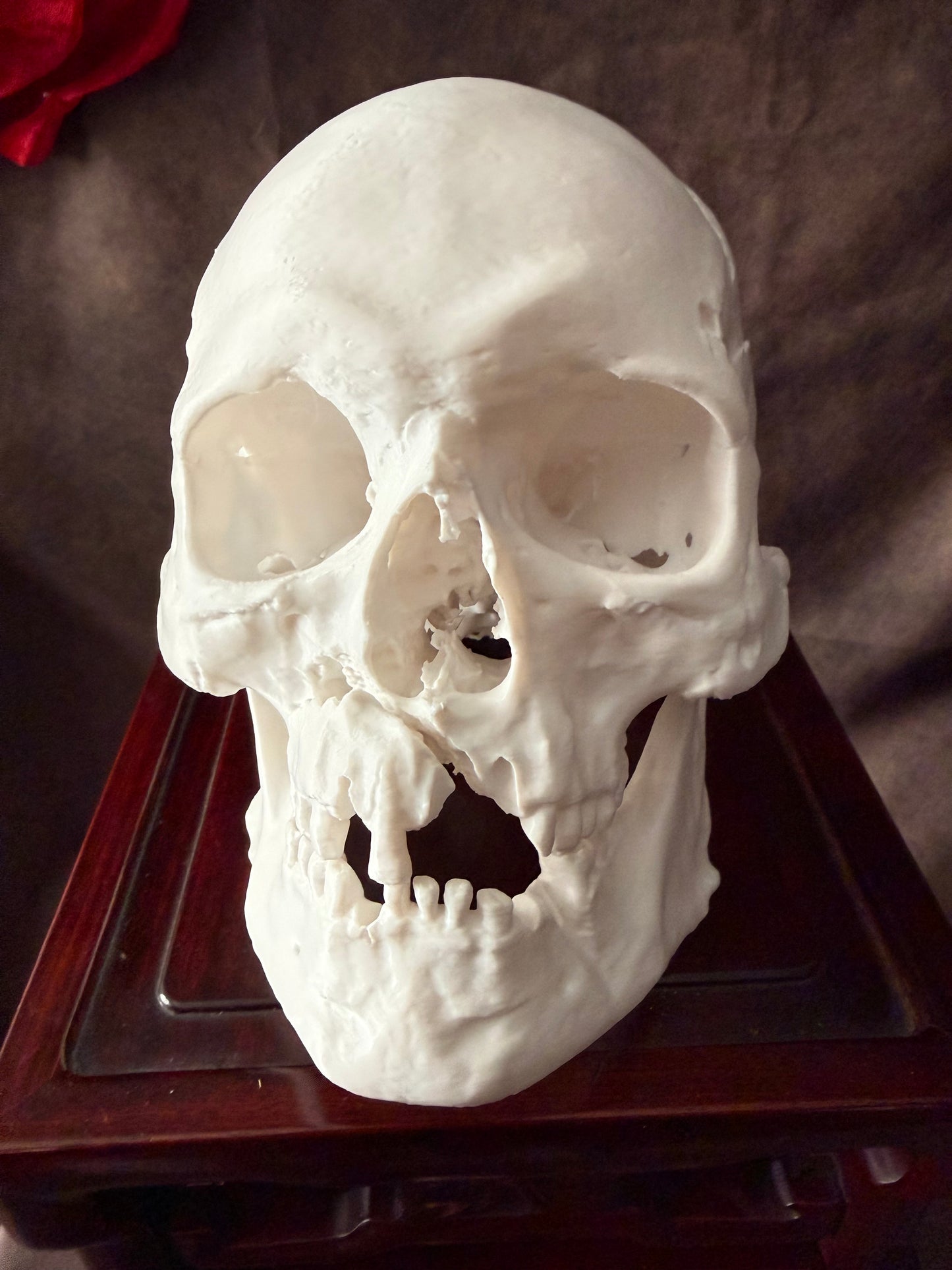 Battle-Damaged Human Skull Replica – Full Scale Bone White