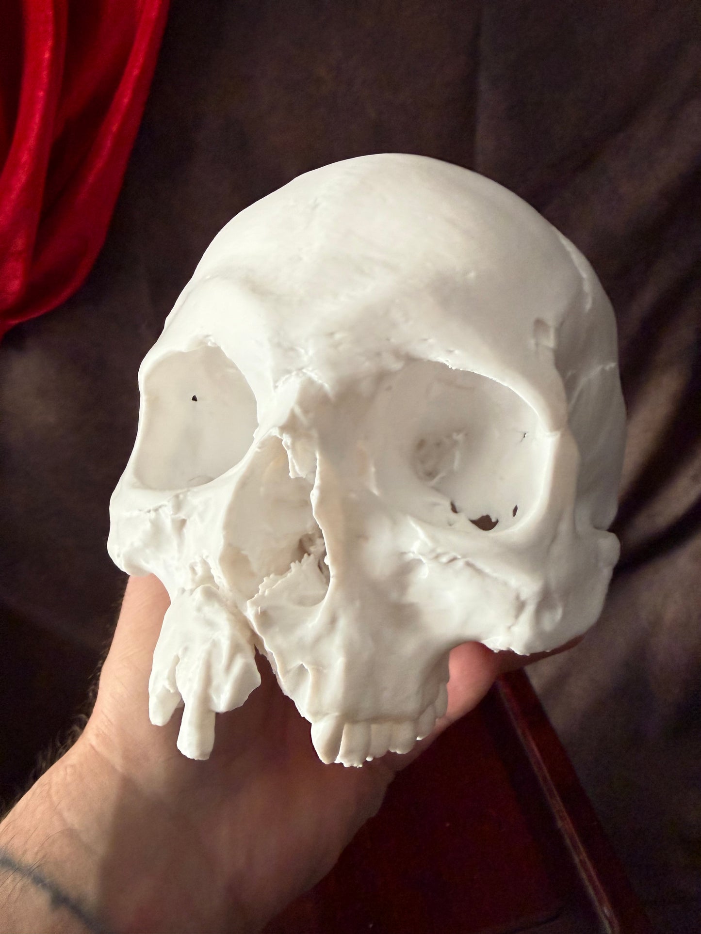 Battle-Damaged Human Skull Replica – Full Scale