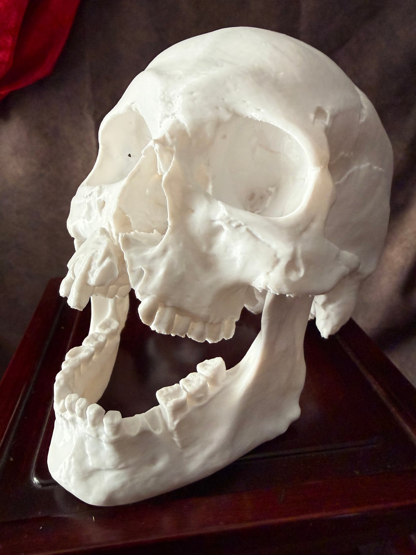 Battle-Damaged Human Skull Replica – Full Scale