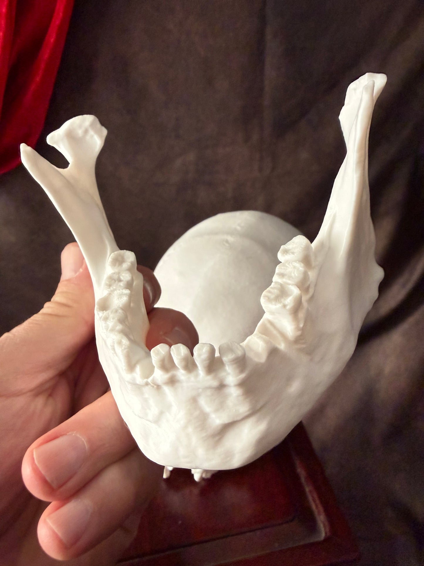 Battle-Damaged Human Skull Replica – Full Scale