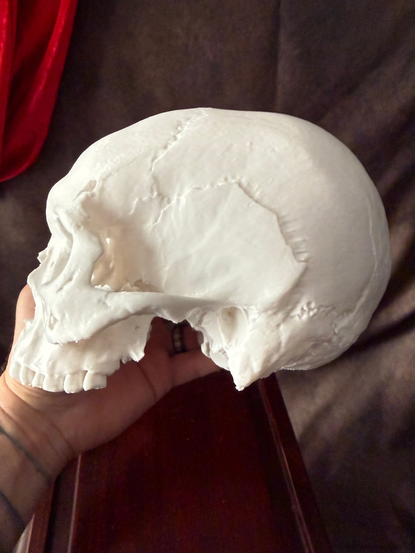Battle-Damaged Human Skull Replica – Full Scale