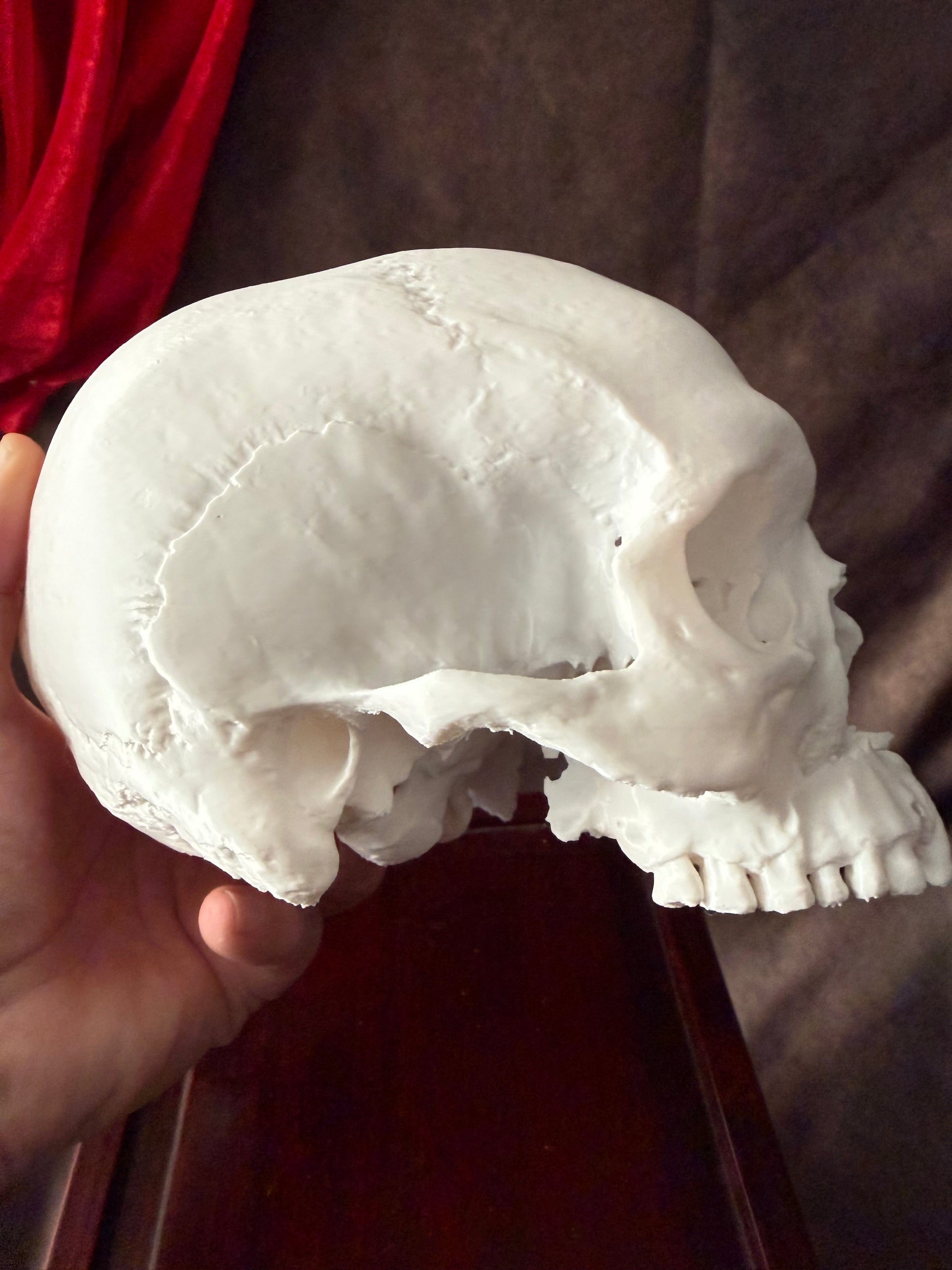 Battle-Damaged Human Skull Replica – Full Scale