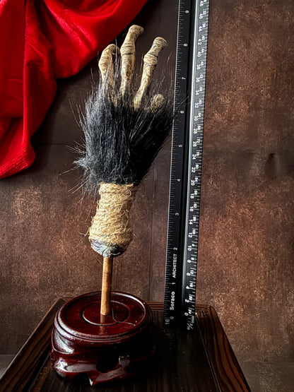 Cursed Monkey Paw – Handmade Oddity Replica Large Mounted