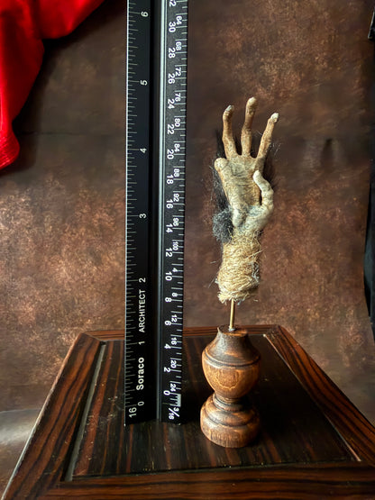 Cursed Monkey Paw – Handmade Oddity Replica Small Mounted