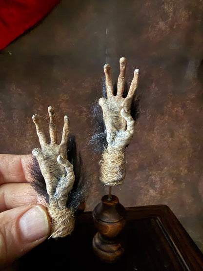 Cursed Monkey Paw – Handmade Oddity Replica