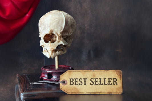Cyclops Fetal Skull Specimen – Handmade Replica