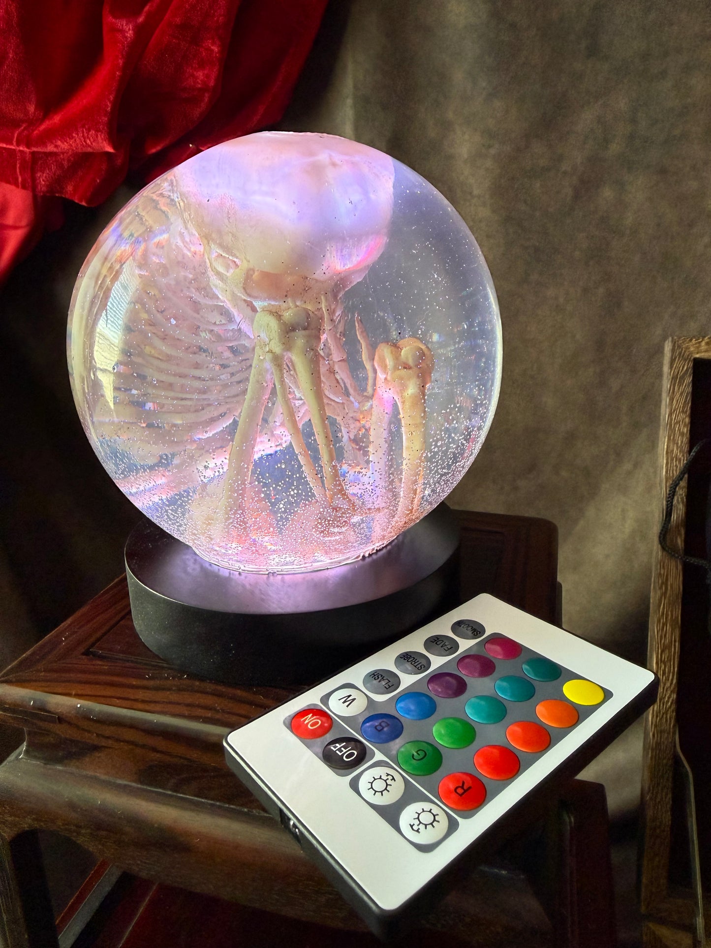 The Waiting Womb – Fetal Skeleton Replica Dome