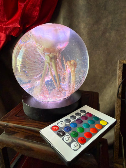 The Waiting Womb – Fetal Skeleton Replica Dome
