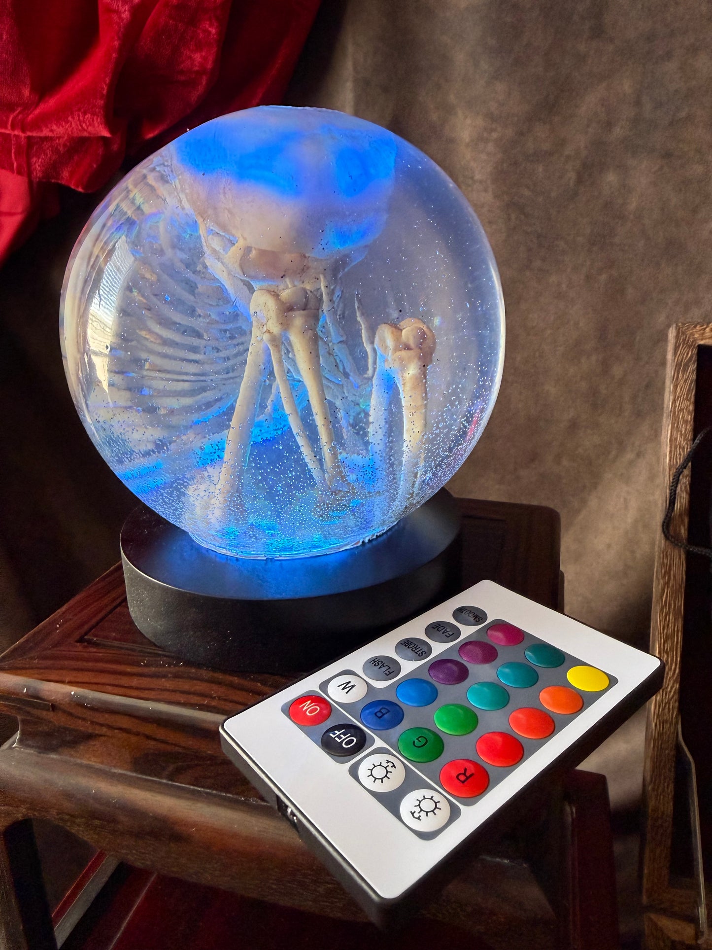 The Waiting Womb – Fetal Skeleton Replica Dome
