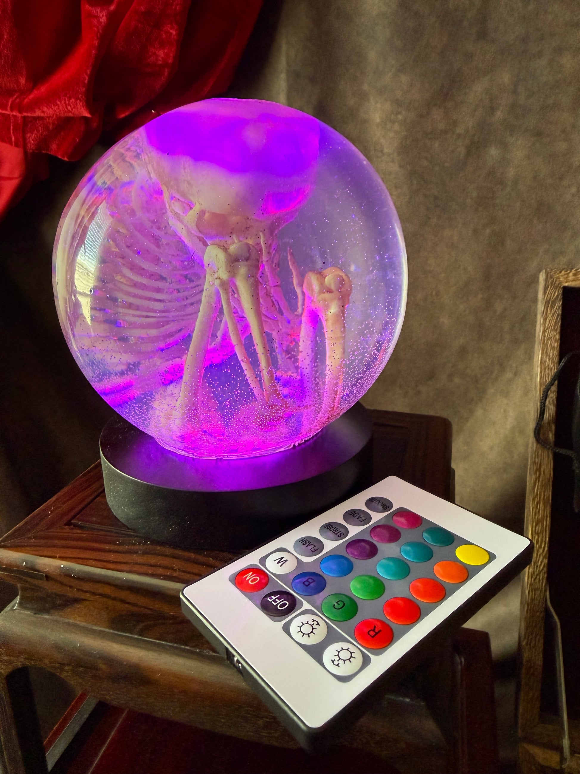 The Waiting Womb – Fetal Skeleton Replica Dome