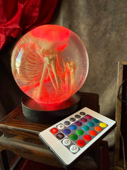 The Waiting Womb – Fetal Skeleton Replica Dome