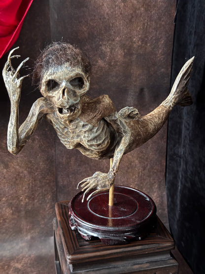 Fiji Mermaid Gaff – Handmade Sideshow Oddity