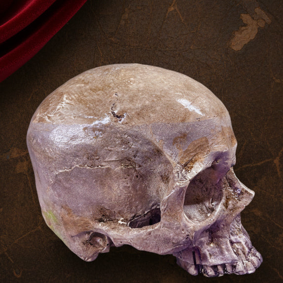 Realistic Human Skull Replica – Cranium Only