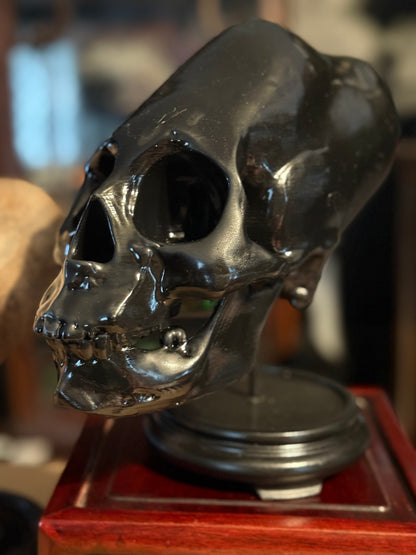Peruvian-Inspired Elongated Skull Replica – Full Scale (Black) Large