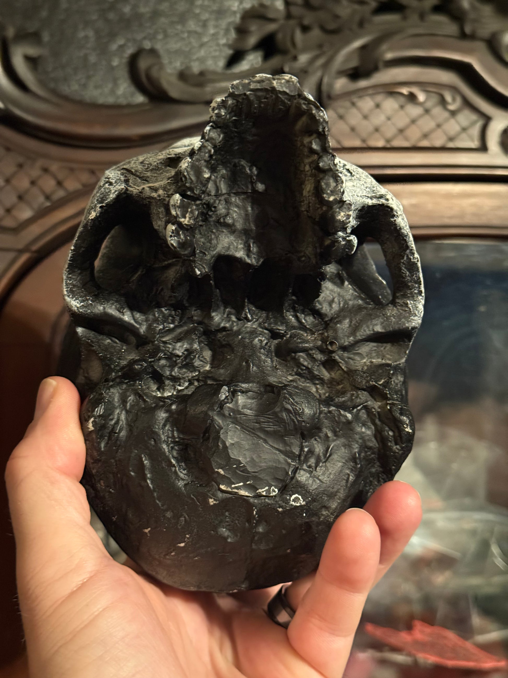 Relic of the Damned – Handmade Ritual Skull
