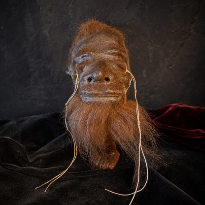 Alpaca Hide Shrunken Head Replica – Rust Hair & Beard