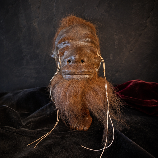 Alpaca Hide Shrunken Head Replica – Rust Hair & Beard