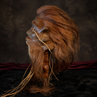 Alpaca Hide Shrunken Head Replica – Long Auburn Hair