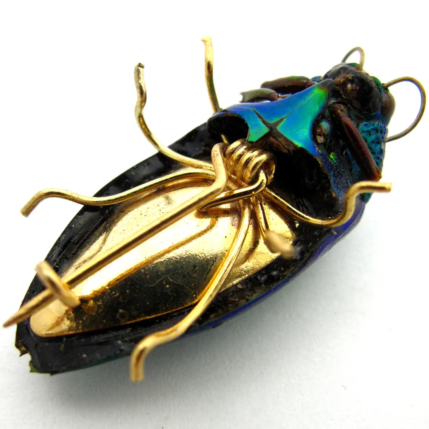 Real Emerald Jewel Beetle Pin