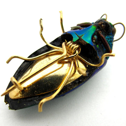 Real Emerald Jewel Beetle Pin