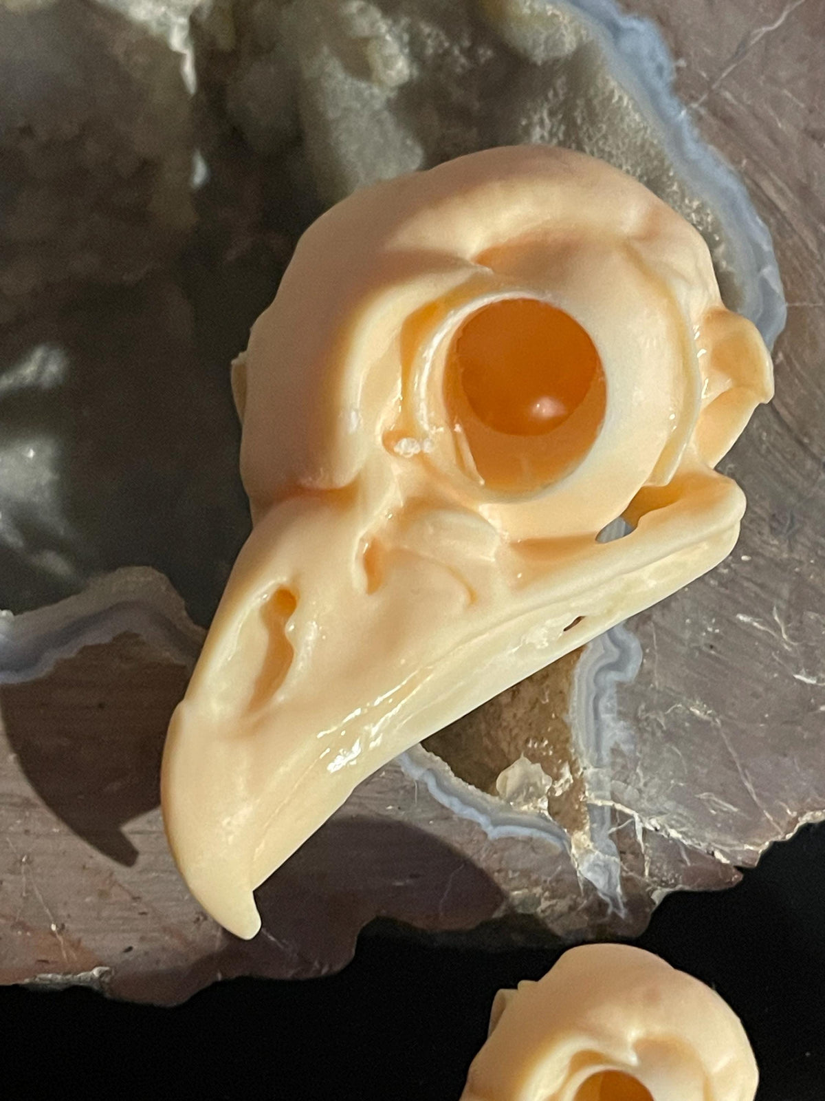 Owl Skull for Oddities & Curiosities Cabinet - Plague Doctor