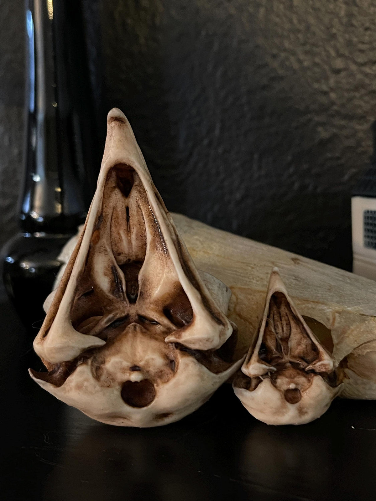 Owl Skull for Oddities & Curiosities Cabinet - Plague Doctor