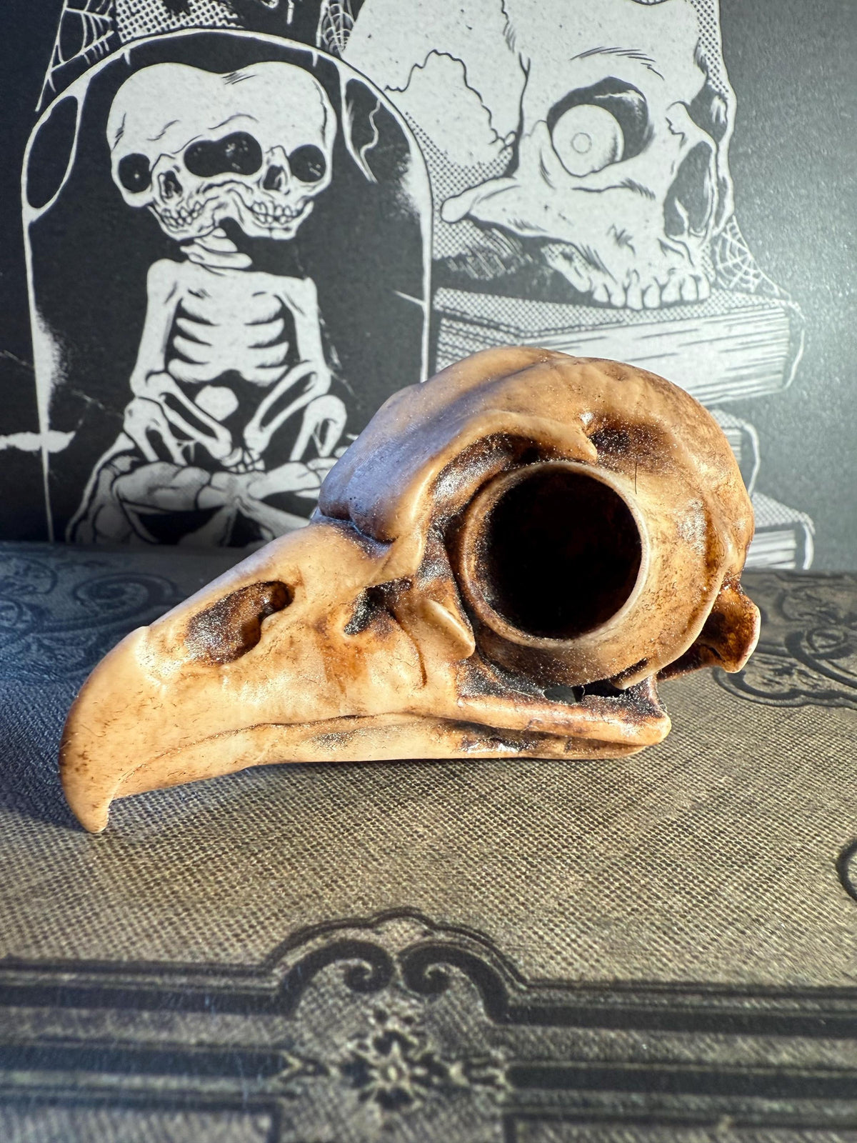 Owl Skull for Oddities & Curiosities Cabinet - Plague Doctor