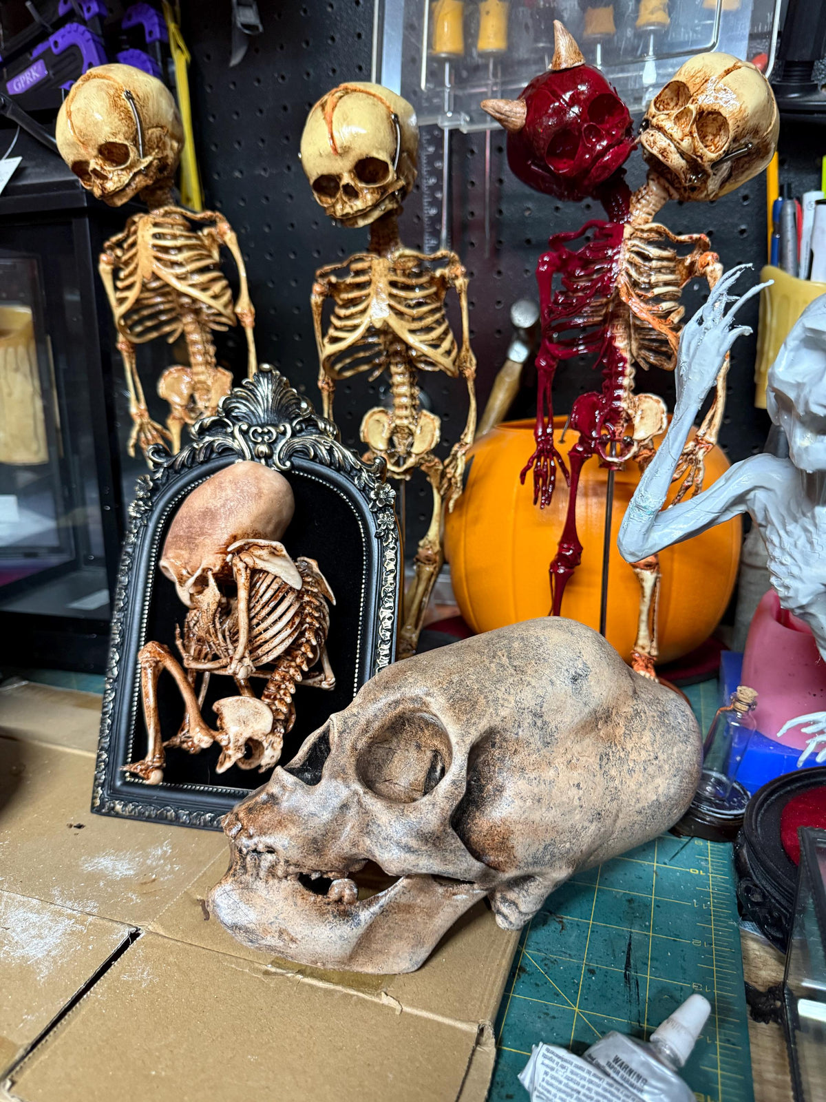 Fetal Skeleton Articulated