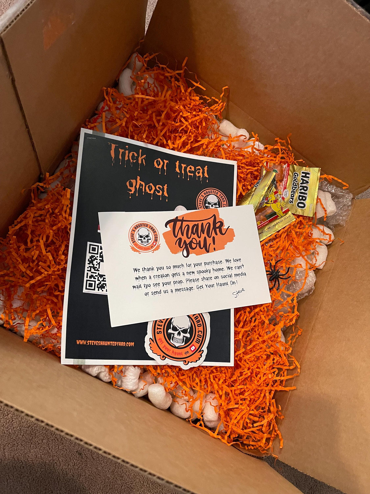 Ghost Trick-or-treater (Made to order)