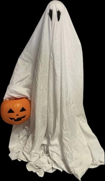 Ghost Trick-or-treater (Made to order)