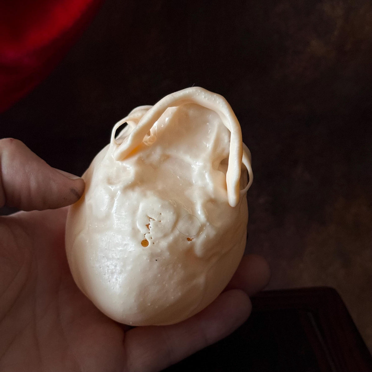 Fetal Skull for a curiosities cabinet