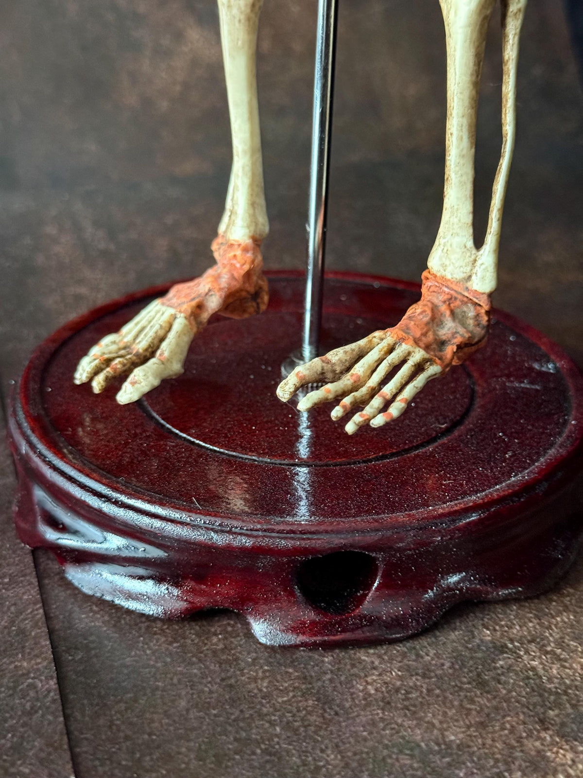 Cyclops Fetal Skeleton | Gothic Curiosity Specimen | Dark Oddities Decor