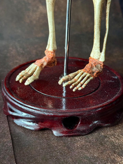Cyclops Fetal Skeleton | Gothic Curiosity Specimen | Dark Oddities Decor