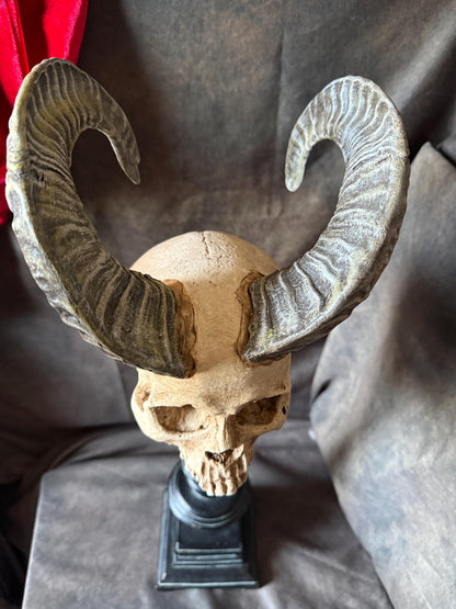 Horned Demon Skull