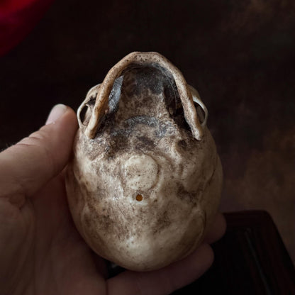 Fetal Skull for a curiosities cabinet