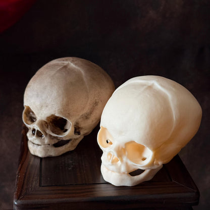 Fetal Skull for a curiosities cabinet