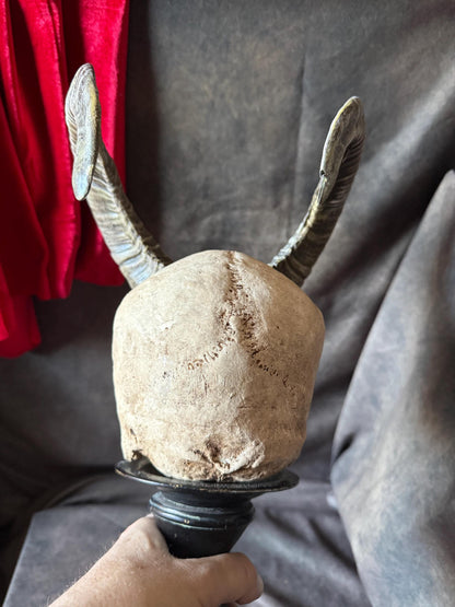 Horned Demon Skull