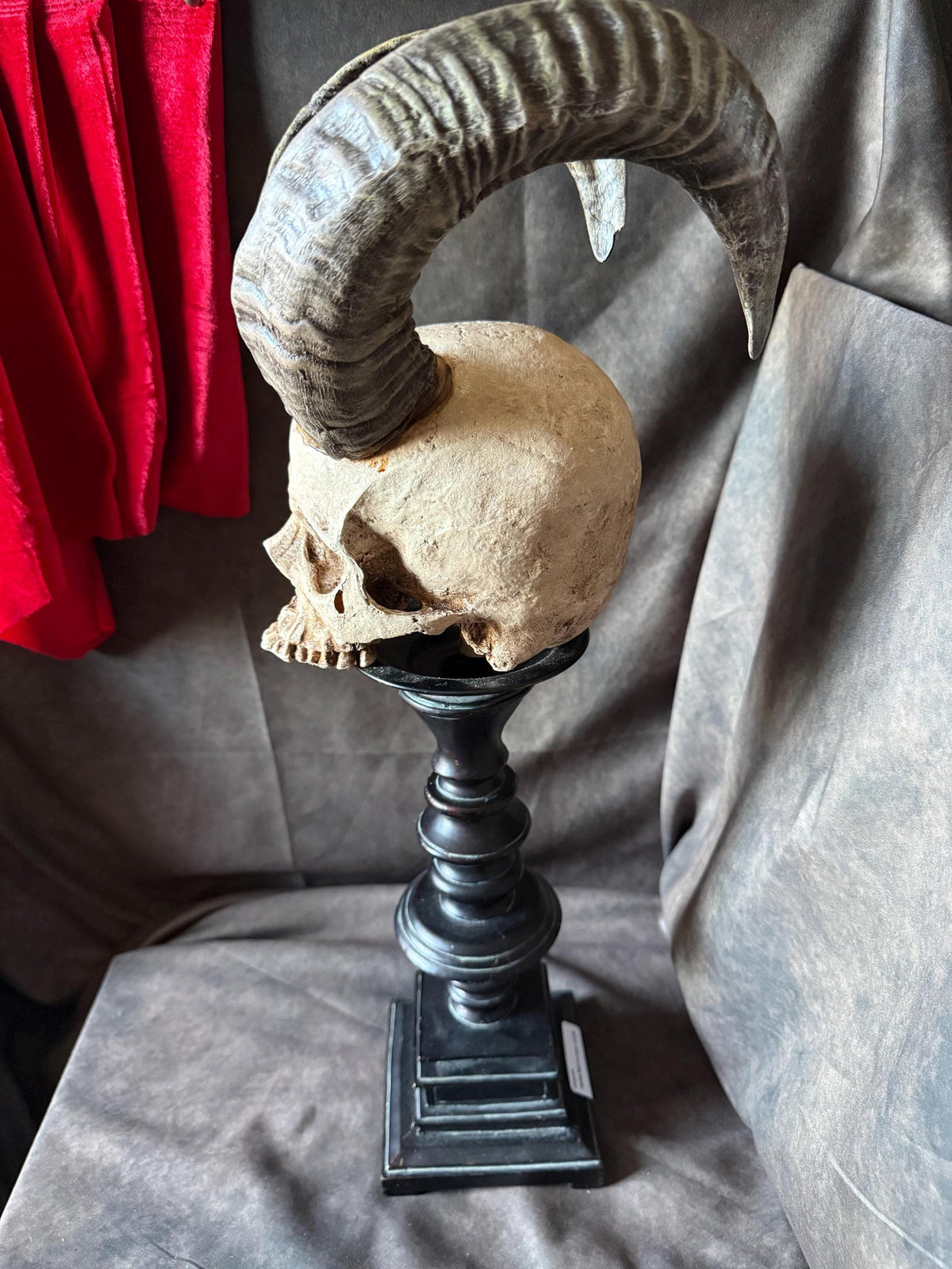 Horned Demon Skull