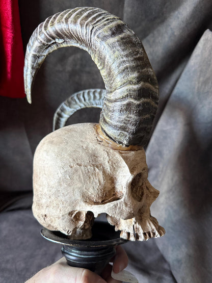 Horned Demon Skull