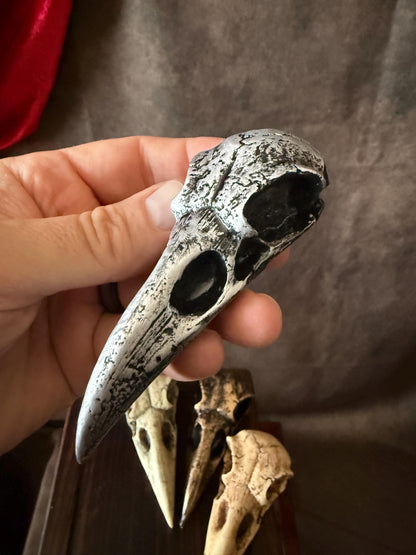 Crow skull Silver patina