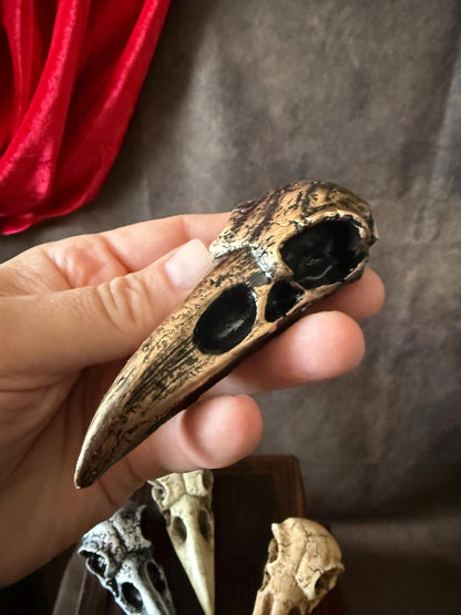 Crow skull Gold patina