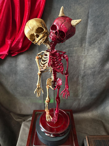 Two-Headed Conjoined Fetal Skeleton Custom creation