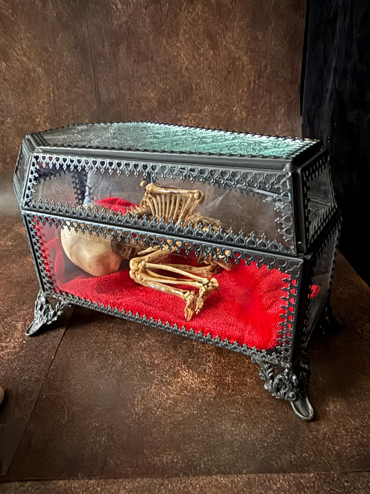 The Waiting Womb – Creepy Curiosity with Fetal Skeleton Replica in glass coffin Ornate glass coffin