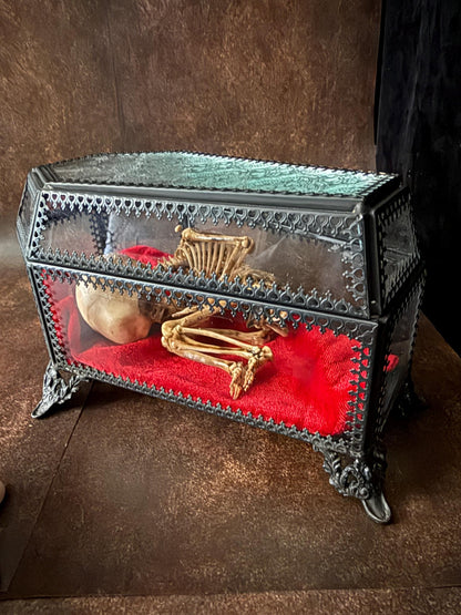 The Waiting Womb – Creepy Curiosity with Fetal Skeleton Replica in glass coffin Ornate glass coffin