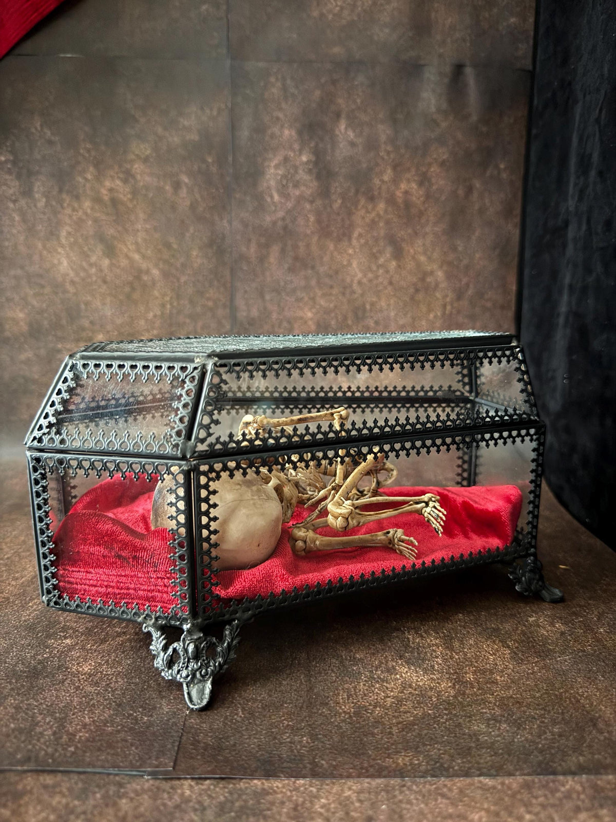 The Waiting Womb – Creepy Curiosity with Fetal Skeleton Replica in glass coffin