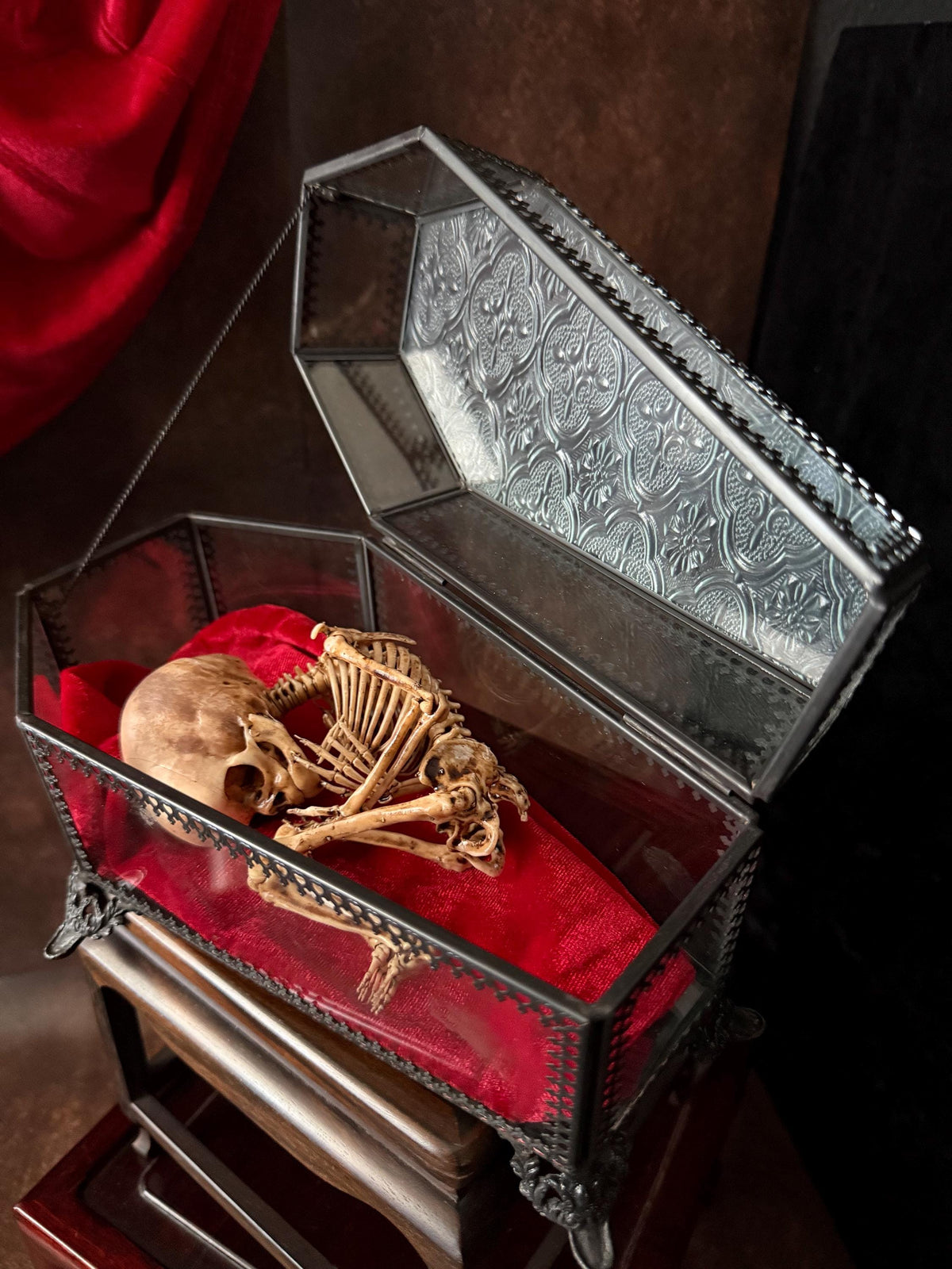 The Waiting Womb – Creepy Curiosity with Fetal Skeleton Replica in glass coffin Clear glass coffin