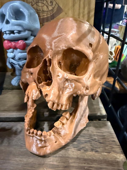 Battle Damaged Skull Replica w/ Axe Wound | Gothic Oddities Decor Gold