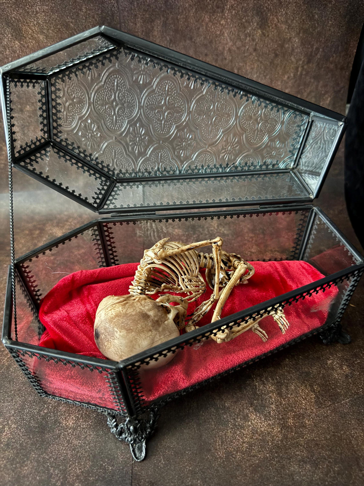 The Waiting Womb – Creepy Curiosity with Fetal Skeleton Replica in glass coffin