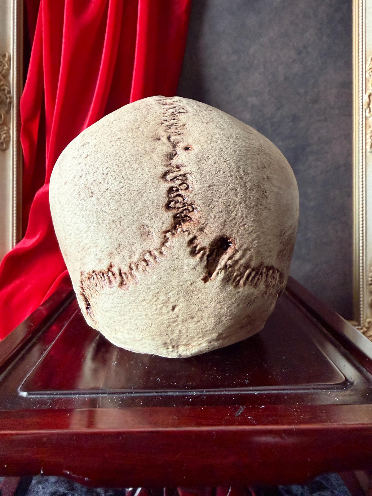 Juvenile Human Skull Replica | Anatomical Skull Reproduction | Gothic Oddity Decor | Curiosity Cabinet Display | Handmade